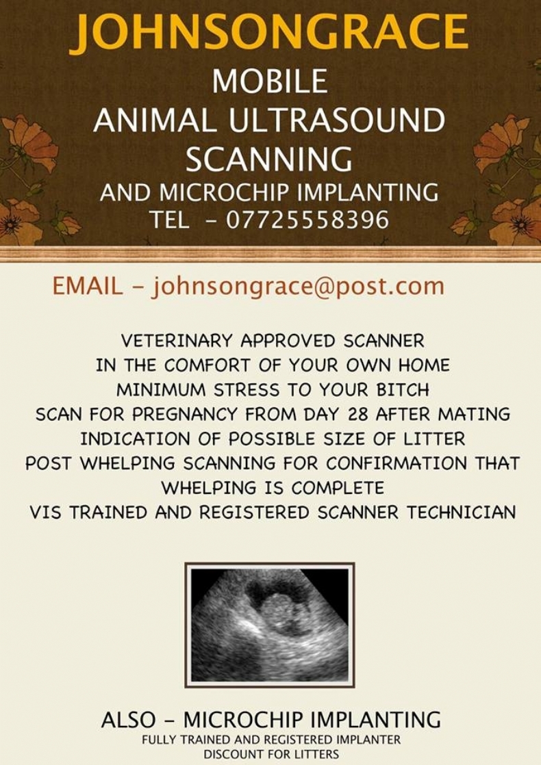 Dee Johnson microchip implanter in Whitstone, Cornwall