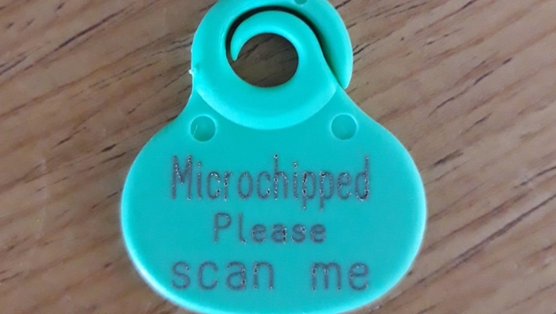 sarah marsland microchip implanter in walsall, West Midlands